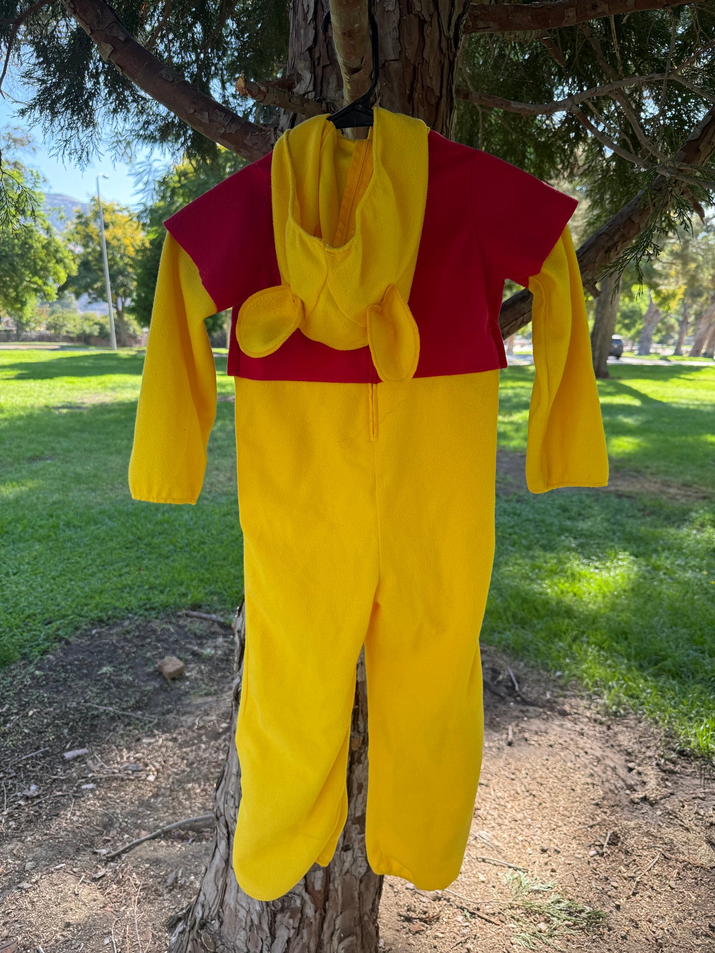 Winnie The Pooh Costume