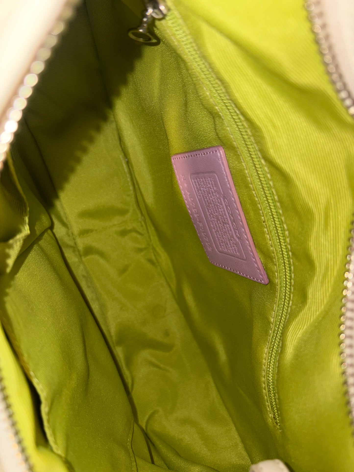 Coach Hamptons Multicolor Striped Hobo