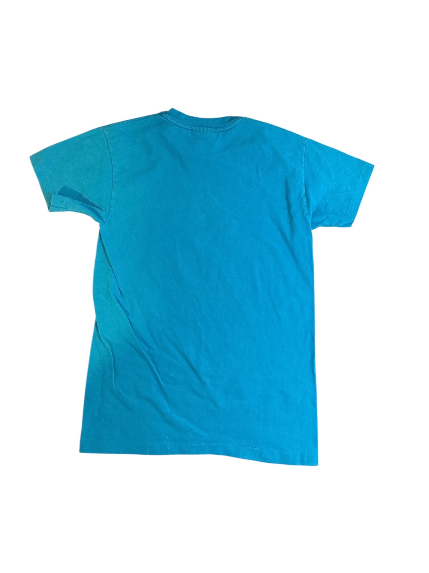 Pocahontas Shirt