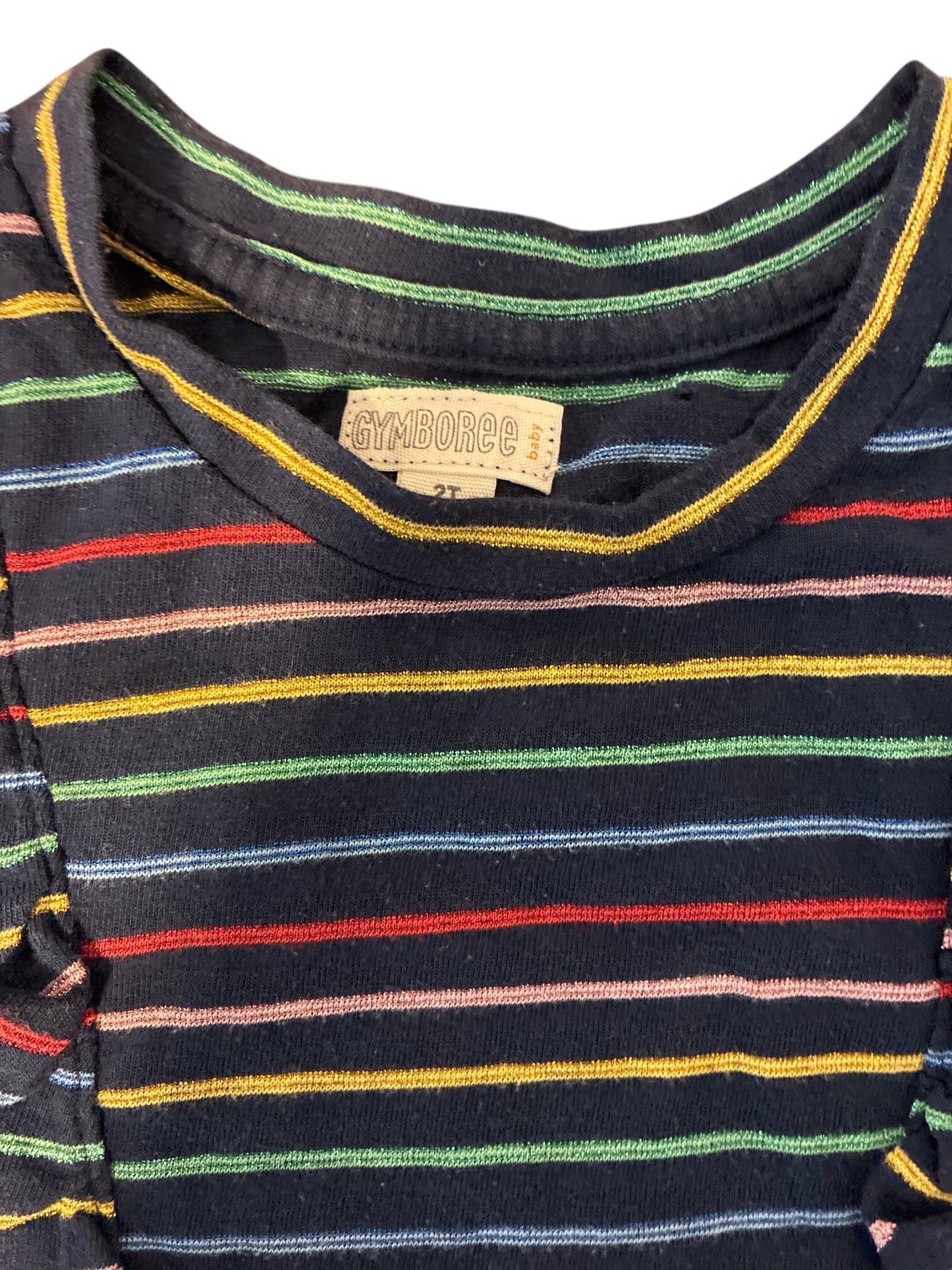 Gymboree Shirt