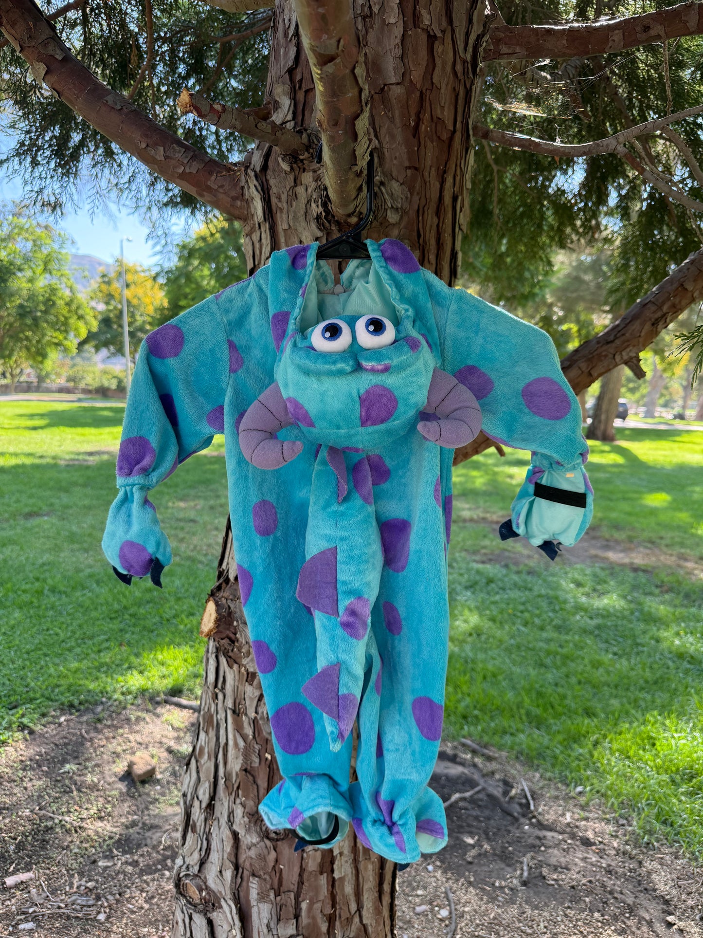 Monsters Inc Sully Costume