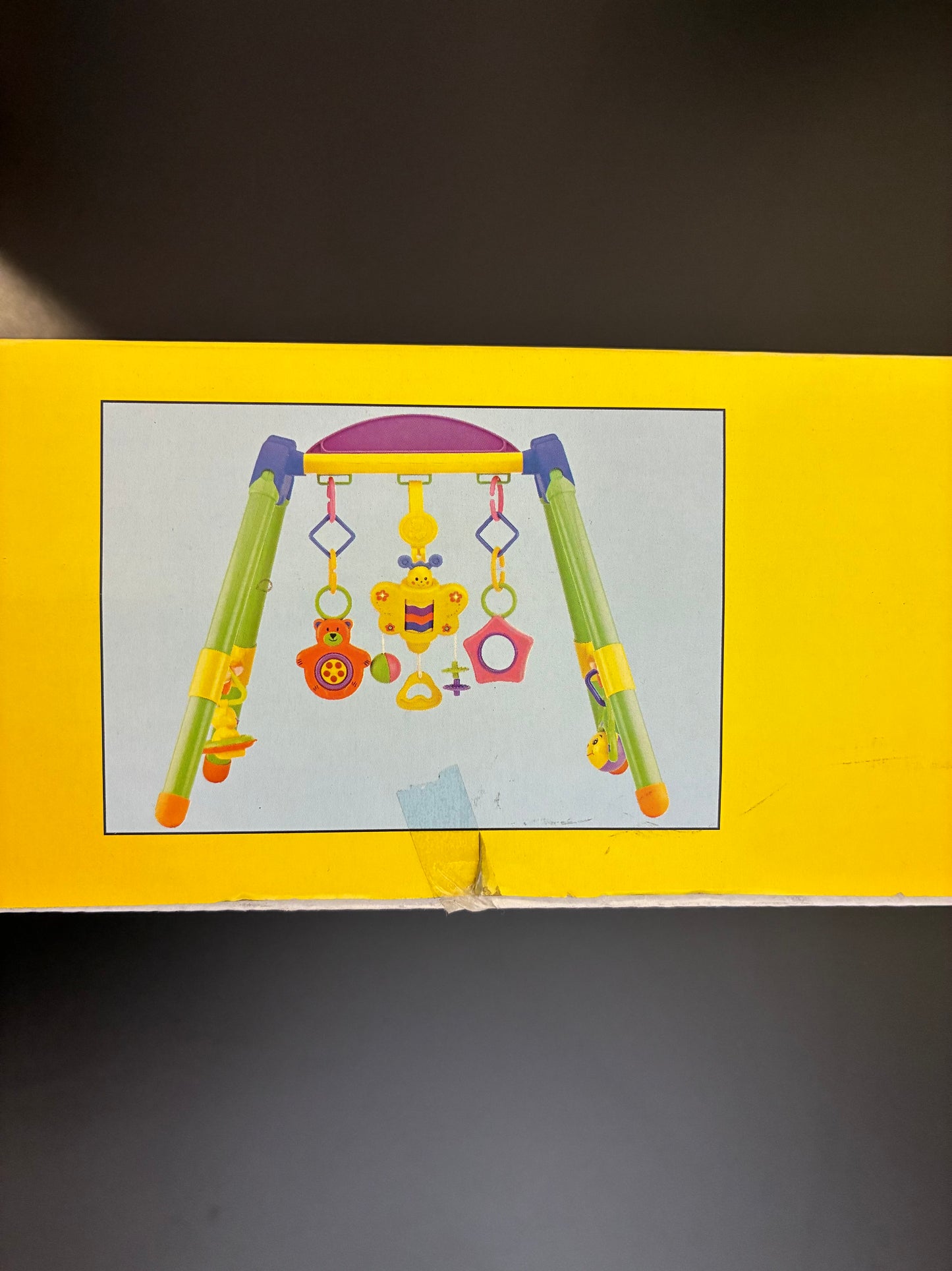 Musical Play Gym