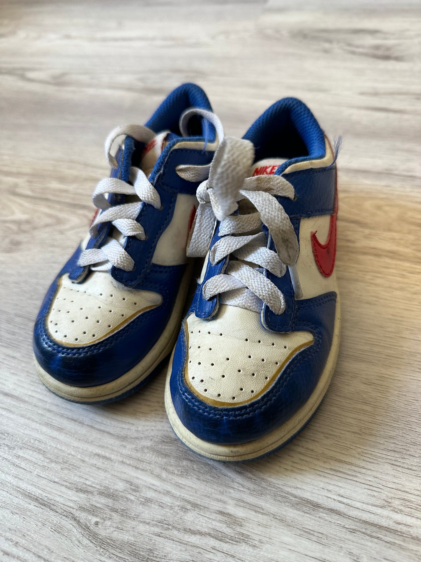 Nike Dunk Low Next Nature Superhero
