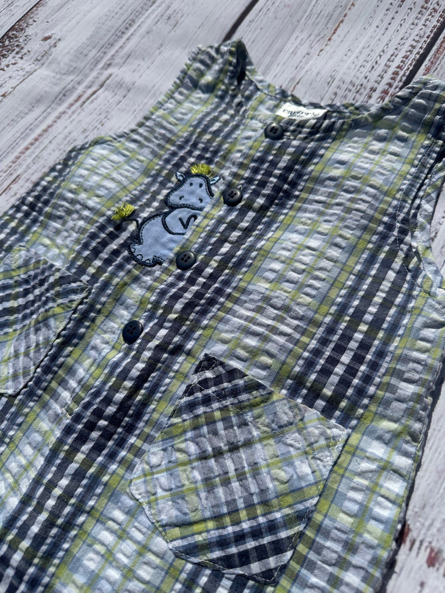 Carter’s Hippo Romper
