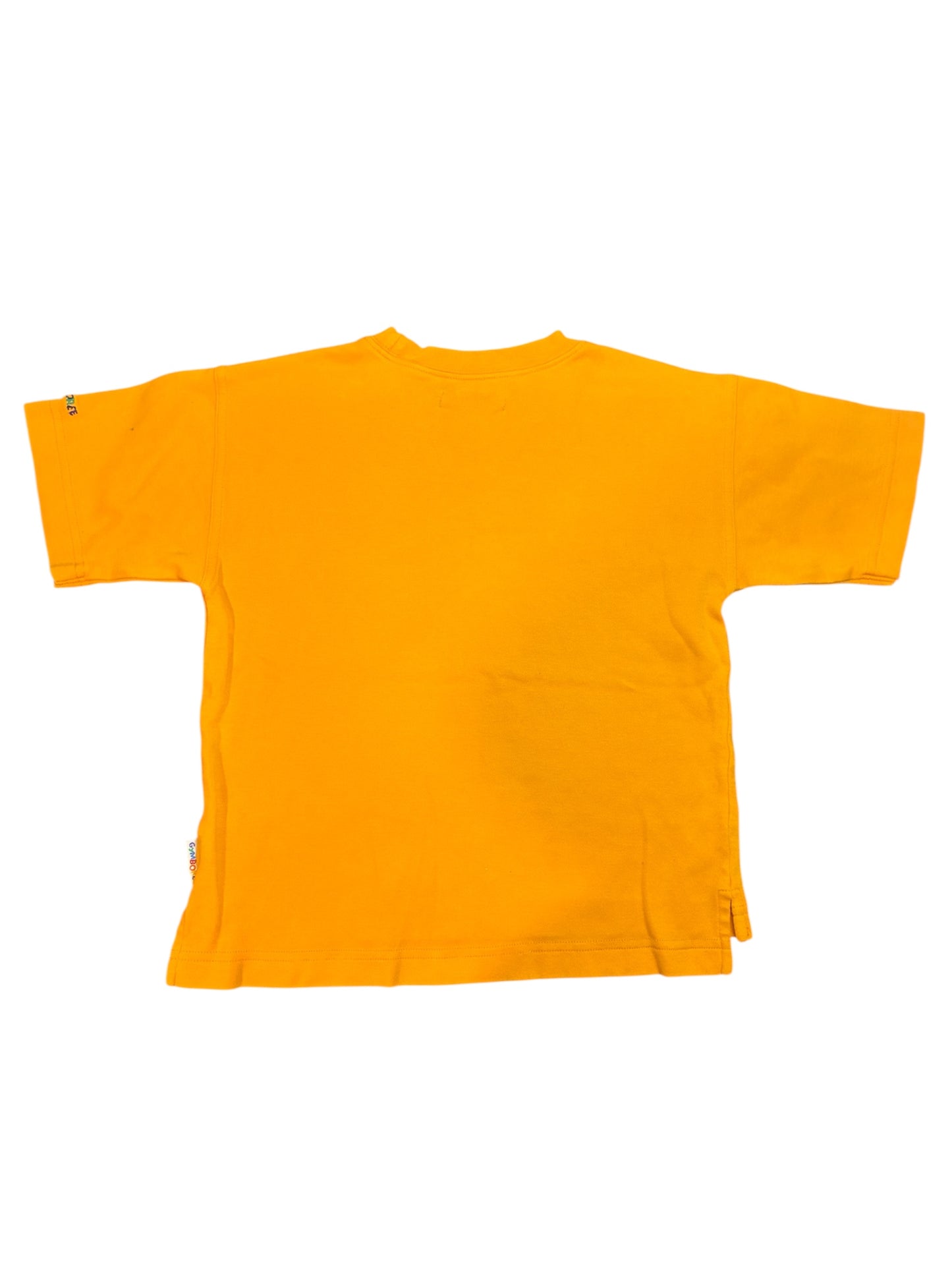Gymboree Shirt