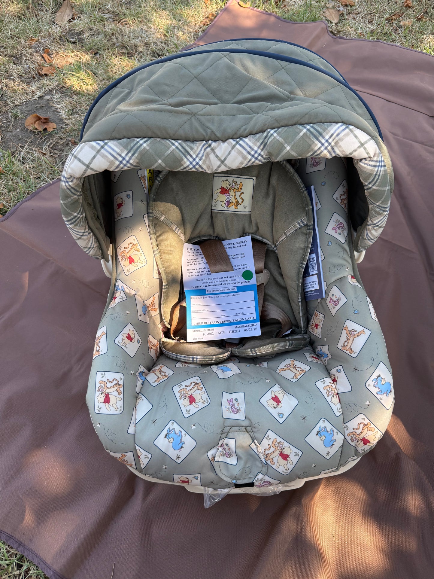 Winnie the Pooh Car Seat