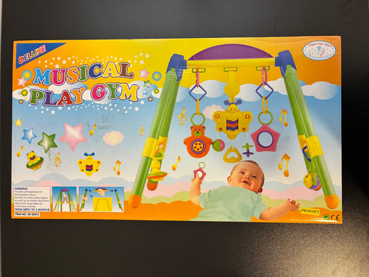 Musical Play Gym