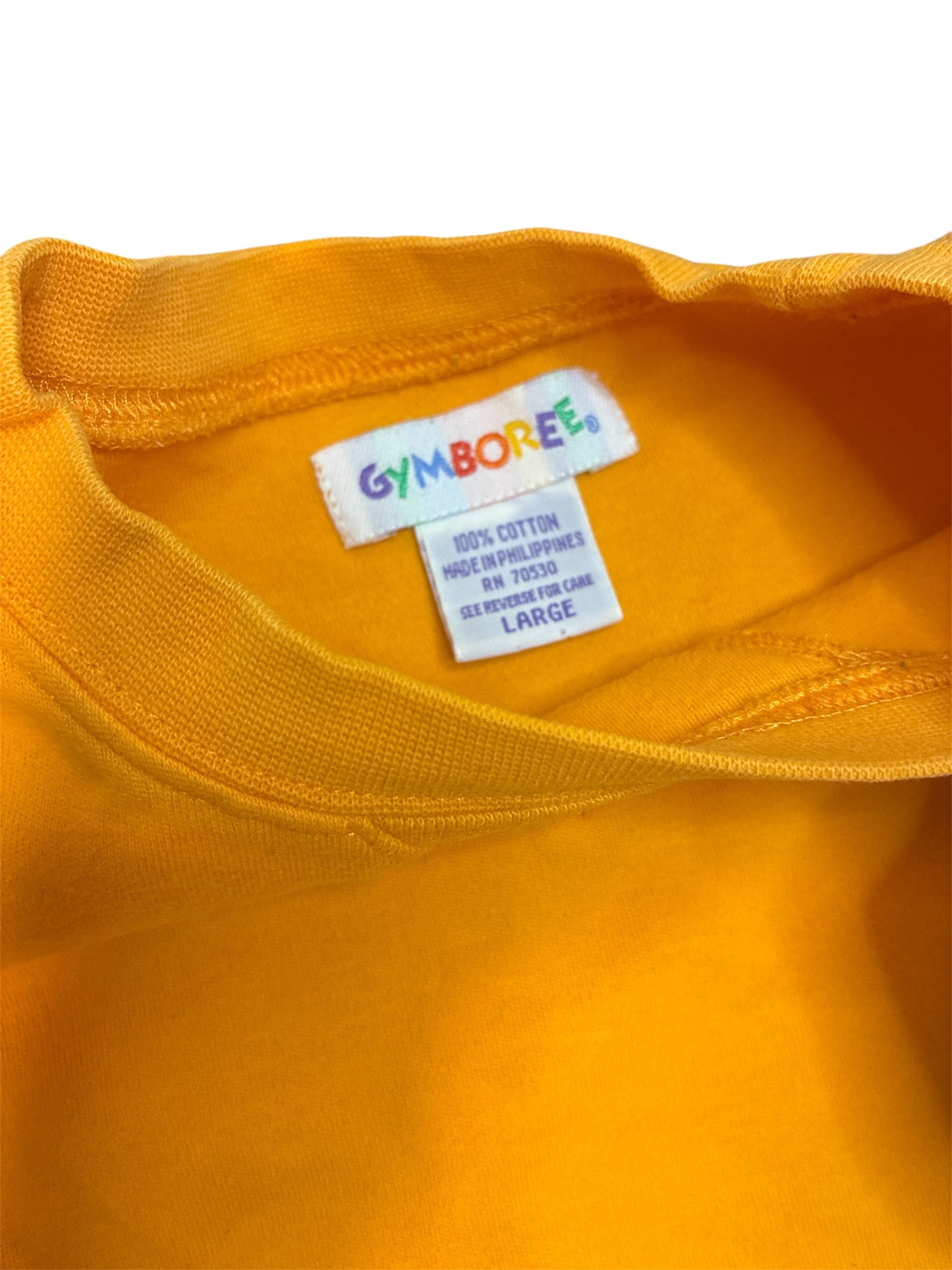 Gymboree Shirt