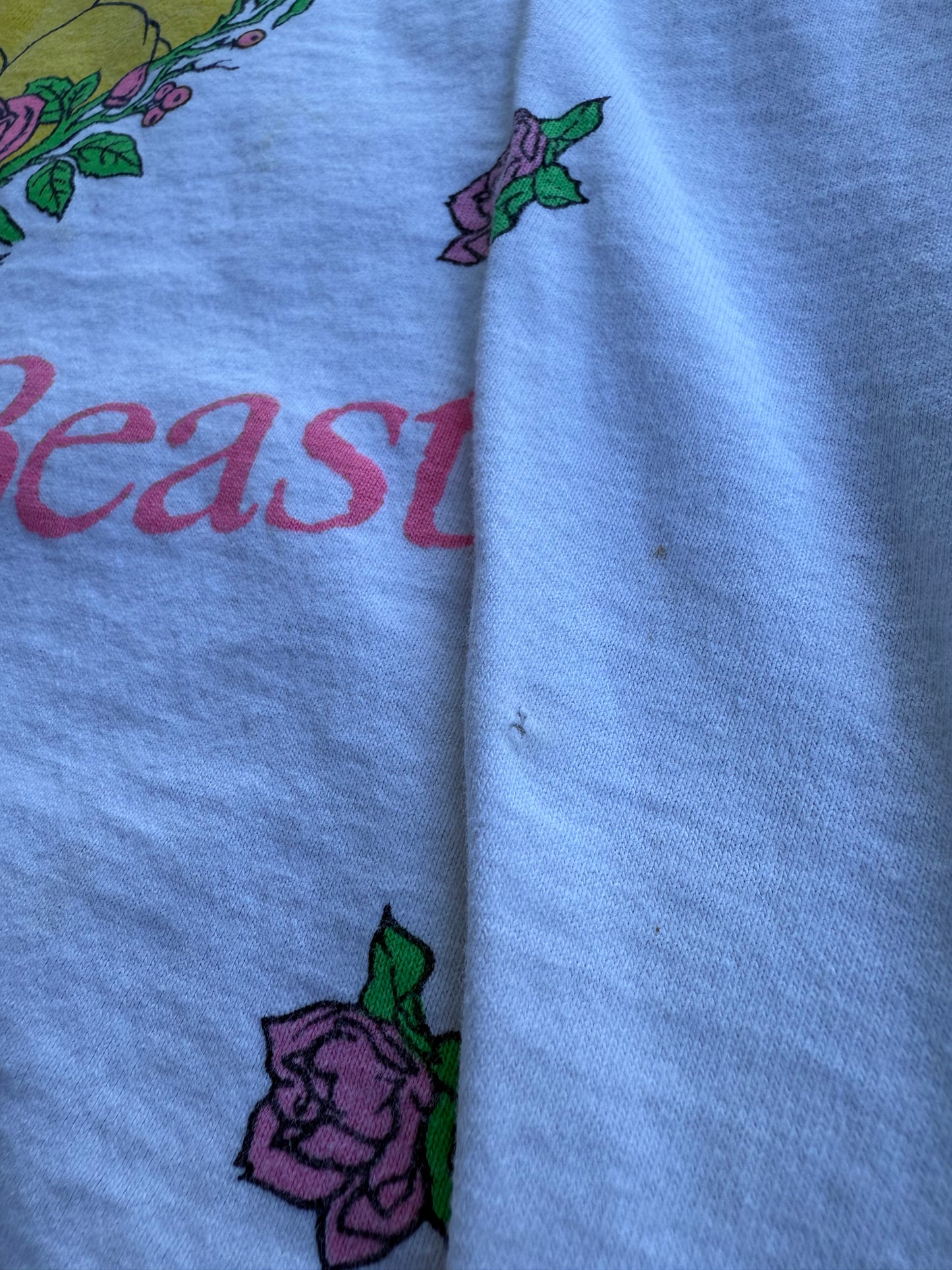 Beauty and the Beast T-Shirt