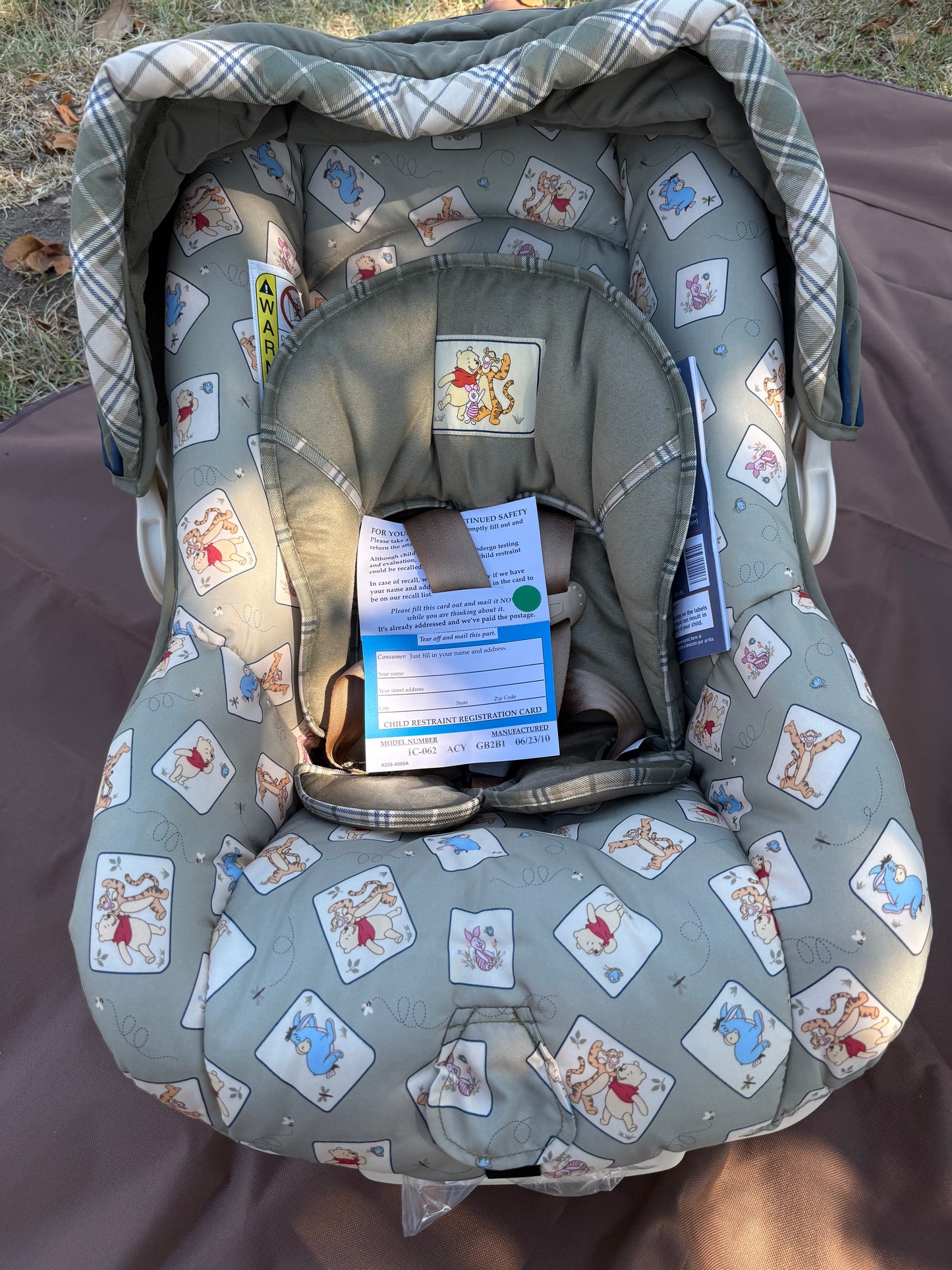 Winnie the Pooh Car Seat