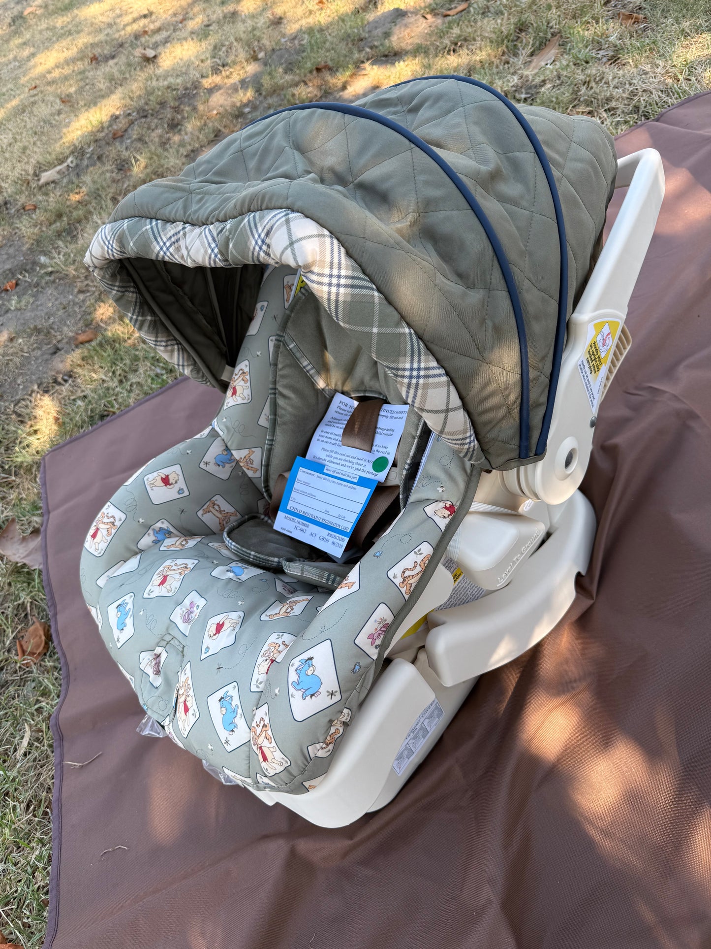 Winnie the Pooh Car Seat