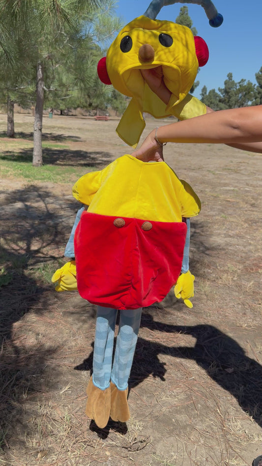 Rollie Pollie Ollie Costume